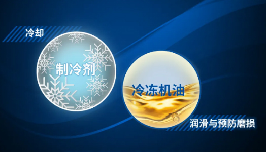 聽(tīng)說(shuō)國(guó)際大(dà)咖都(dōu)是(shì)“高(gāo)冷(lěng)”範